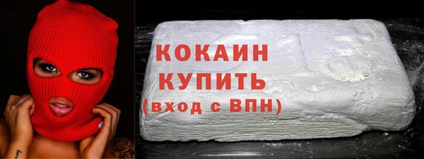 индика Богородск