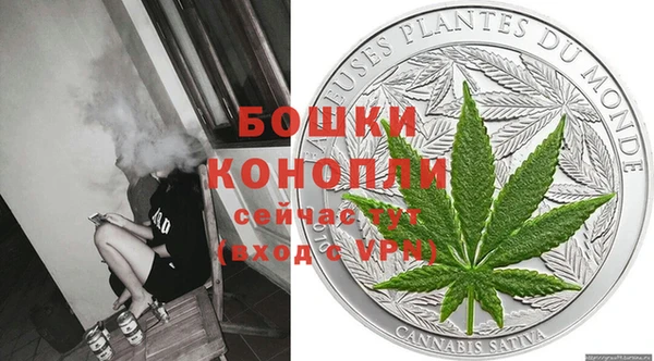 индика Богородск