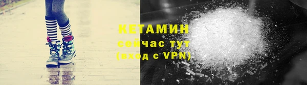 индика Богородск