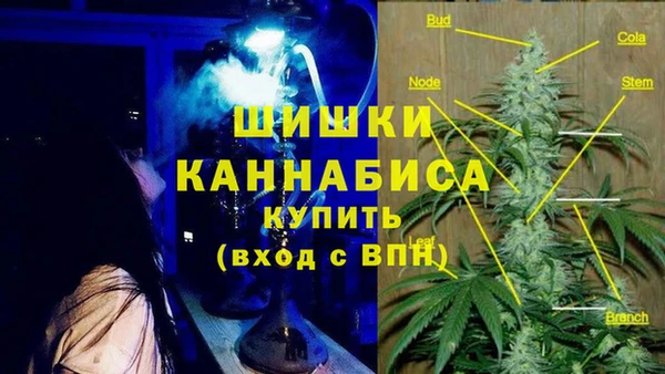 гидра Нязепетровск
