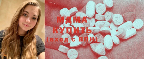 индика Богородск