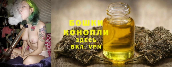 индика Богородск