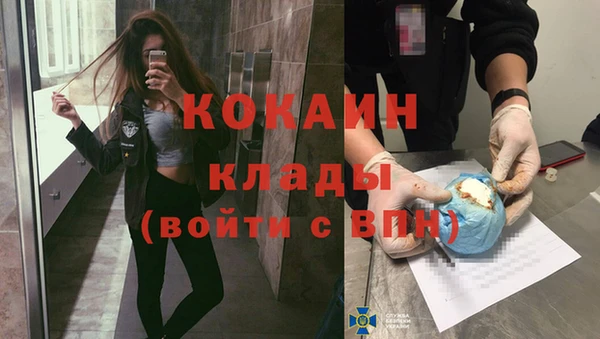 ALPHA PVP Богородицк