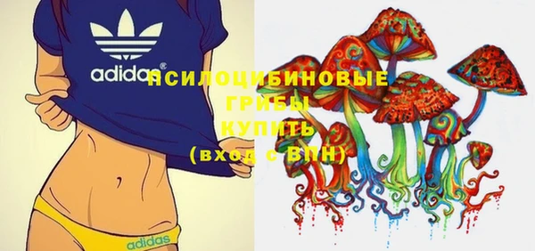 ALPHA PVP Богородицк