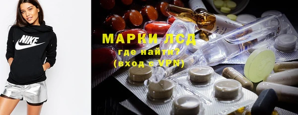 индика Богородск